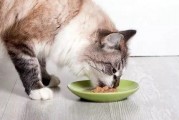 娱乐吃瓜酱小猫咪,揭秘娱乐圈那些不为人知的幕后故事